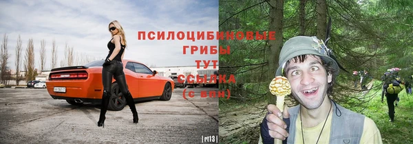 a pvp Абдулино