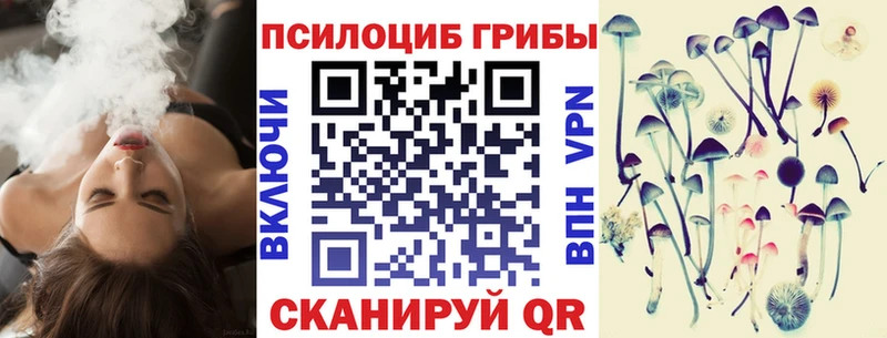 купить наркоту  Смоленск  Галлюциногенные грибы MAGIC MUSHROOMS 